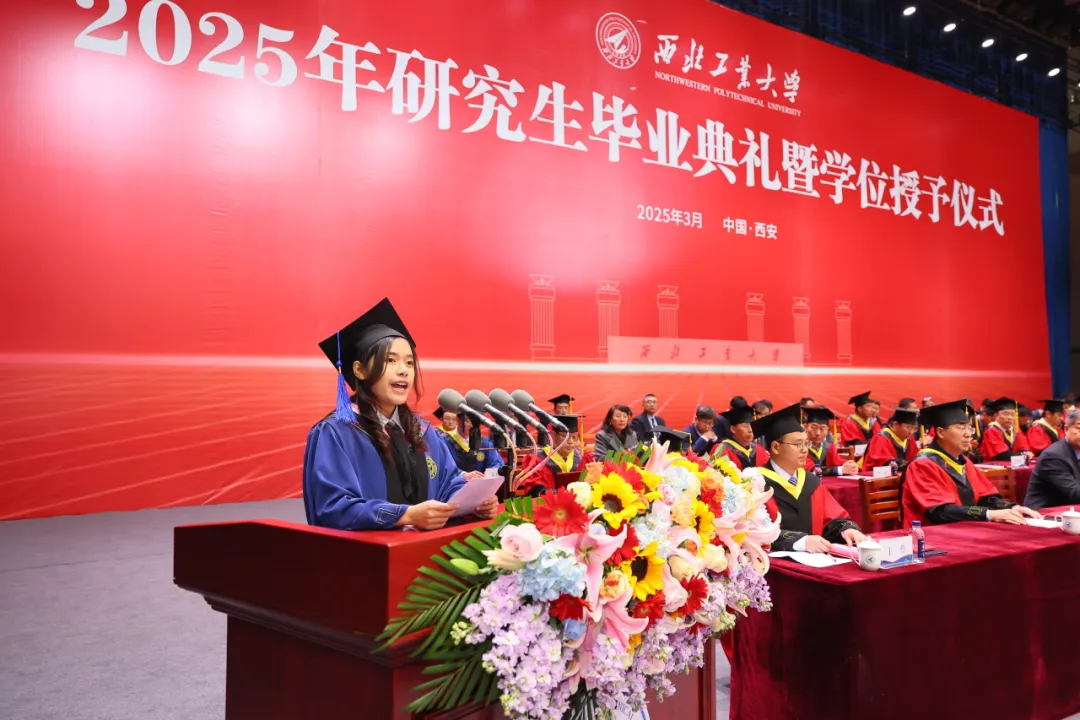图片15.png